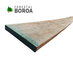 PINO INSIGNE VERDE 1X8X3.20